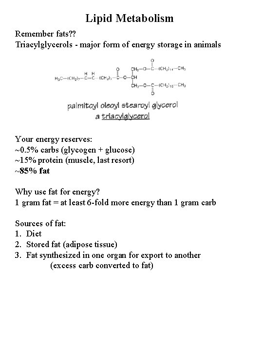 Lipid Metabolism Remember fats? ? Triacylglycerols - major form of energy storage in animals