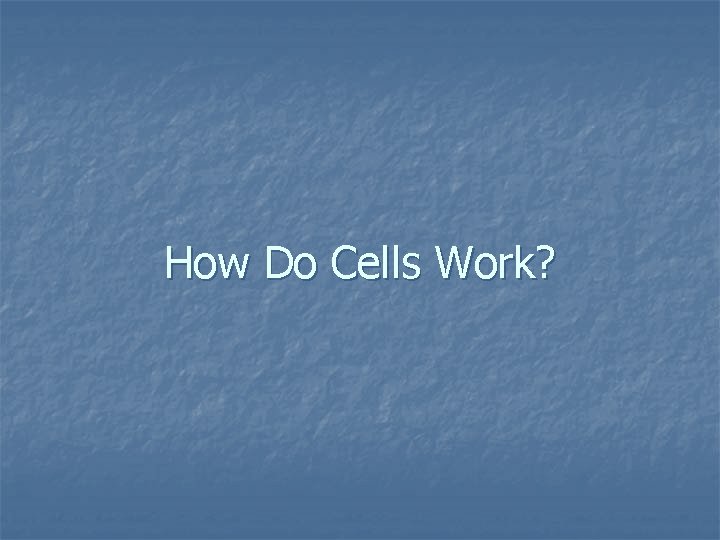 How Do Cells Work? 
