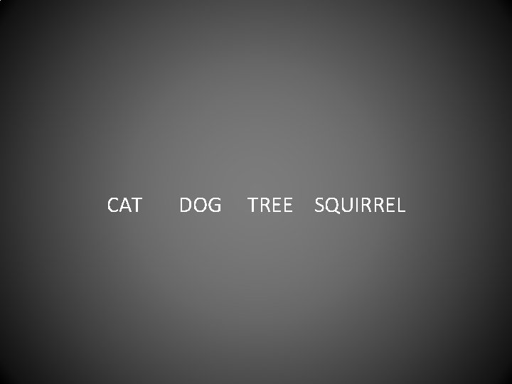 CAT DOG TREE SQUIRREL 