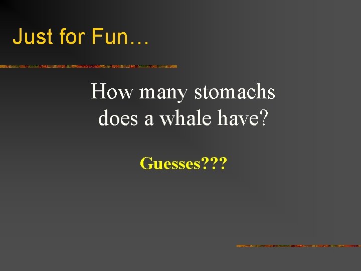 Just for Fun… How many stomachs does a whale have? Guesses? ? ? 