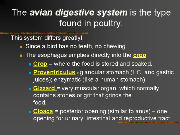 The avian digestive system is the type found in poultry. This system differs greatly!