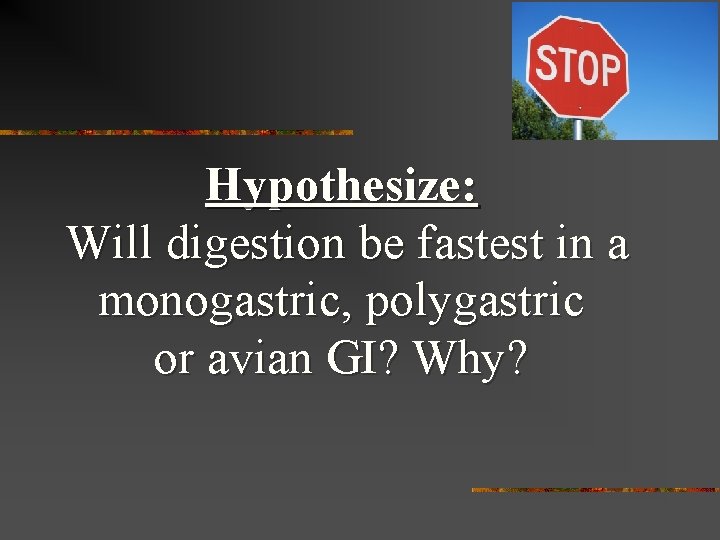 Hypothesize: Will digestion be fastest in a monogastric, polygastric or avian GI? Why? 