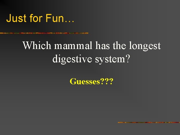 Just for Fun… Which mammal has the longest digestive system? Guesses? ? ? 