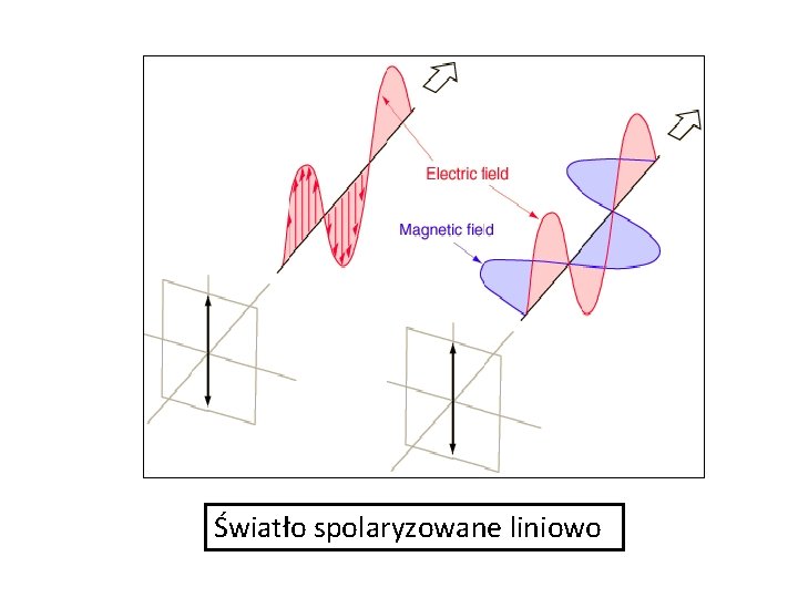 Światło spolaryzowane liniowo 