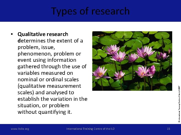 Types of research www. itcilo. org International Training Centre of the ILO © International
