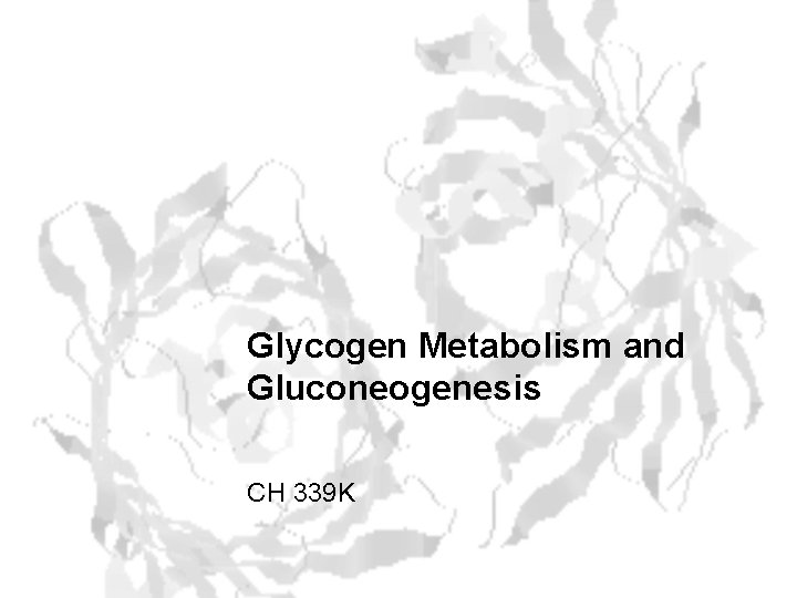 Glycogen Metabolism and Gluconeogenesis CH 339 K 