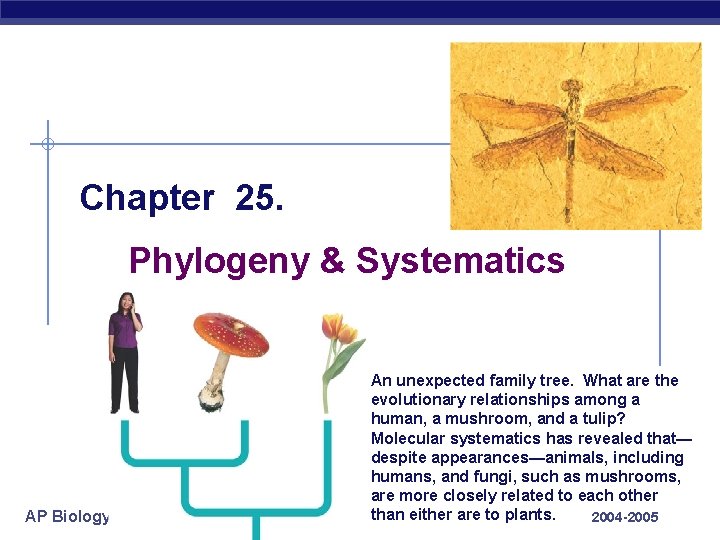 Chapter 25. Phylogeny & Systematics AP Biology An unexpected family tree. What are the