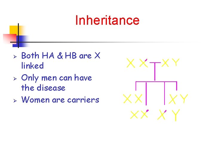 Inheritance Ø Ø Ø Both HA & HB are X linked Only men can