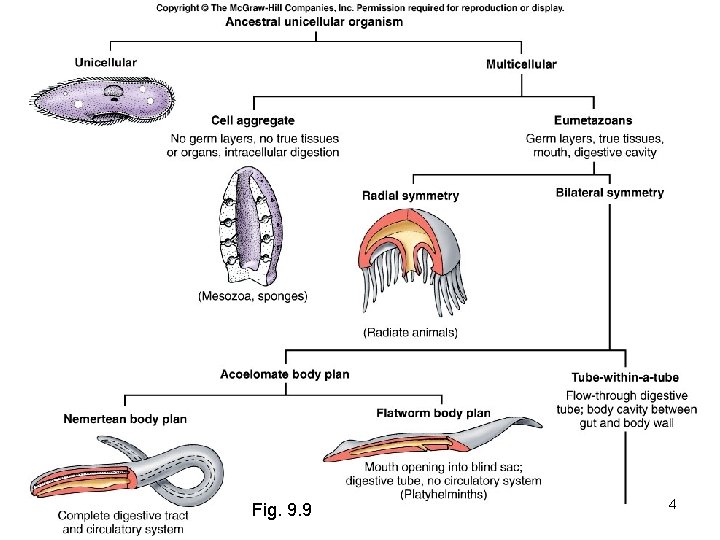 Fig. 9. 9 4 