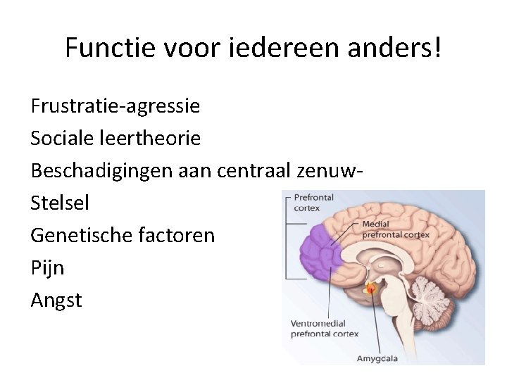 Functie voor iedereen anders! Frustratie-agressie Sociale leertheorie Beschadigingen aan centraal zenuw. Stelsel Genetische factoren