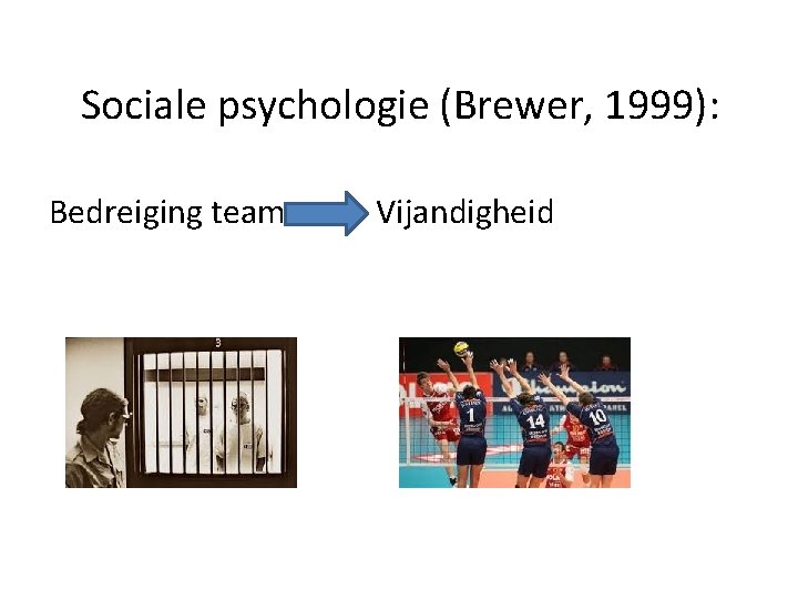 Sociale psychologie (Brewer, 1999): Bedreiging team Vijandigheid 