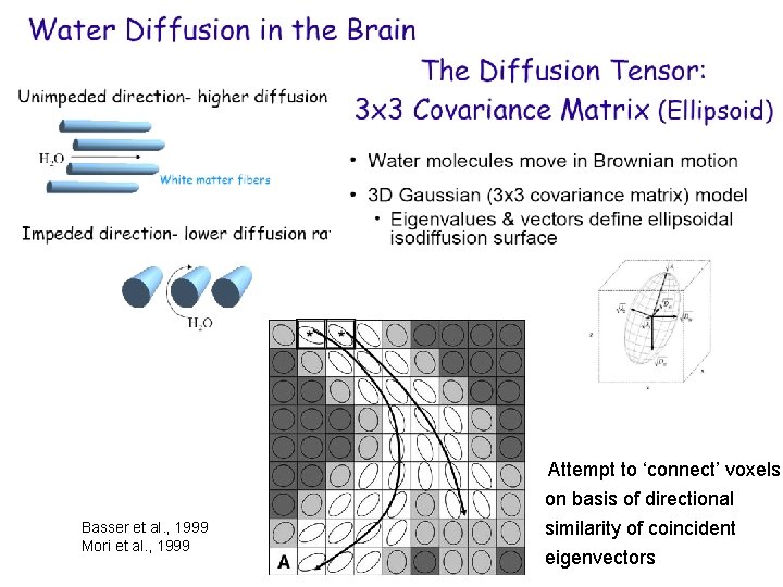 Attempt to ‘connect’ voxels Basser et al. , 1999 Mori et al. , 1999