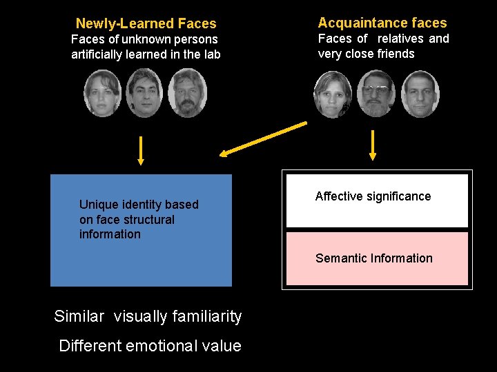 Newly-Learned Faces Acquaintance faces Faces of unknown persons artificially learned in the lab Faces