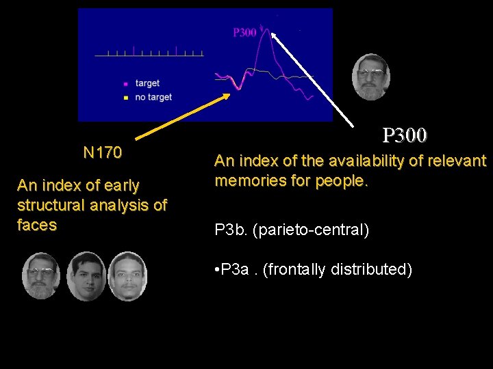 N 170 An index of early structural analysis of faces P 300 An index