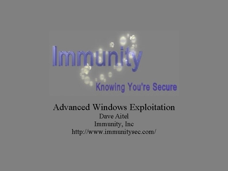 Advanced Windows Exploitation Dave Aitel Immunity, Inc http: //www. immunitysec. com/ 