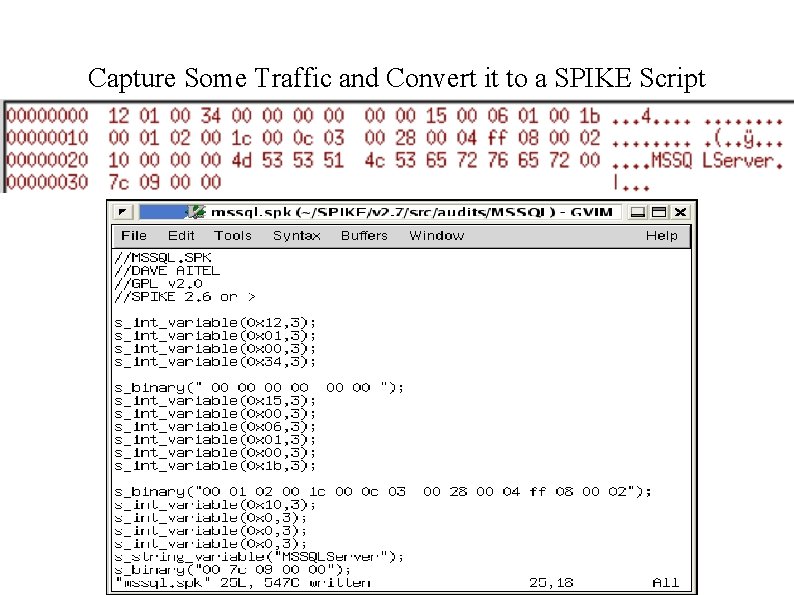 Capture Some Traffic and Convert it to a SPIKE Script 