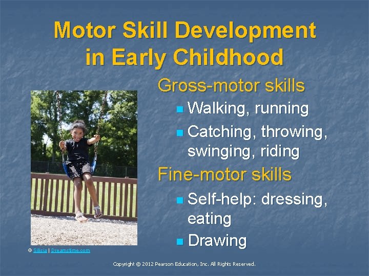 Motor Skill Development in Early Childhood Gross-motor skills n Walking, running n Catching, throwing,