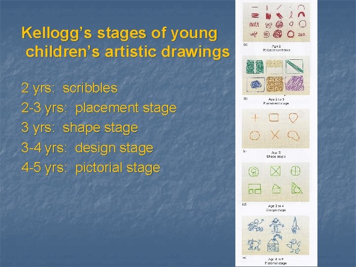 Kellogg’s stages of young children’s artistic drawings 2 yrs: scribbles 2 -3 yrs: placement