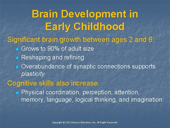 Brain Development in Early Childhood Significant brain growth between ages 2 and 6: n