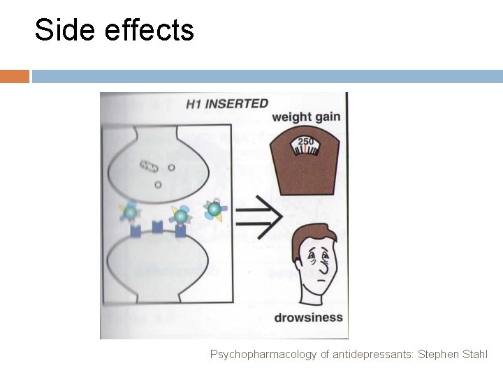 Side effects Psychopharmacology of antidepressants: Stephen Stahl 