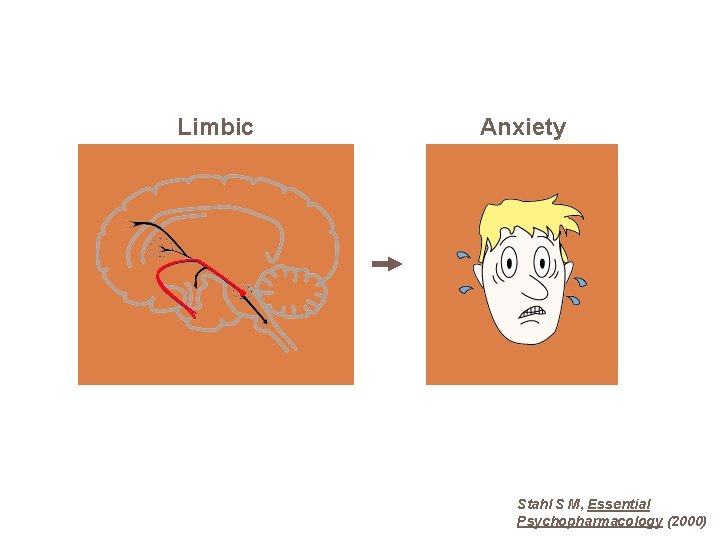 Limbic Anxiety Stahl S M, Essential Psychopharmacology (2000) 