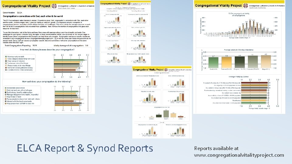 ELCA Report & Synod Reports available at www. congregationalvitalityproject. com ELCA Report & Synod Reports available at www. congregationalvitalityproject. com