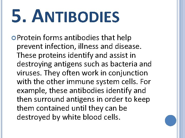 5. ANTIBODIES Protein forms antibodies that help prevent infection, illness and disease. These proteins