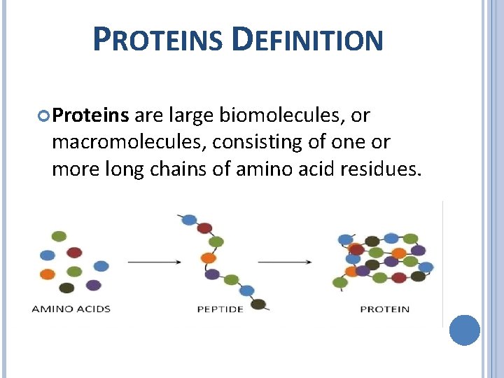 PROTEINS DEFINITION Proteins are large biomolecules, or macromolecules, consisting of one or more long