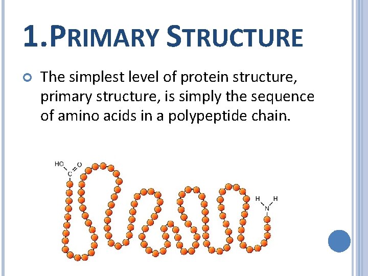 1. PRIMARY STRUCTURE The simplest level of protein structure, primary structure, is simply the