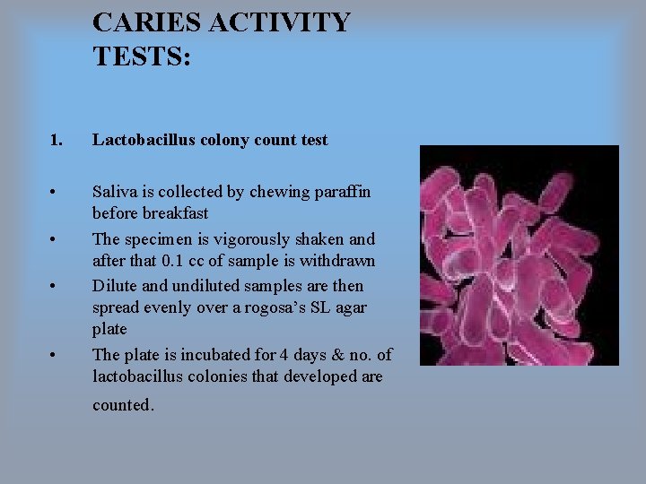 CARIES ACTIVITY TESTS: 1. Lactobacillus colony count test • Saliva is collected by chewing