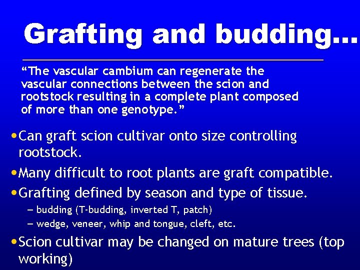 Grafting and budding. . . “The vascular cambium can regenerate the vascular connections between Grafting and budding. . . “The vascular cambium can regenerate the vascular connections between