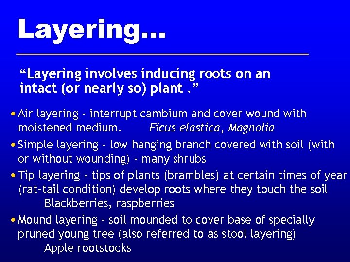 Layering. . . “Layering involves inducing roots on an intact (or nearly so) plant. Layering. . . “Layering involves inducing roots on an intact (or nearly so) plant.