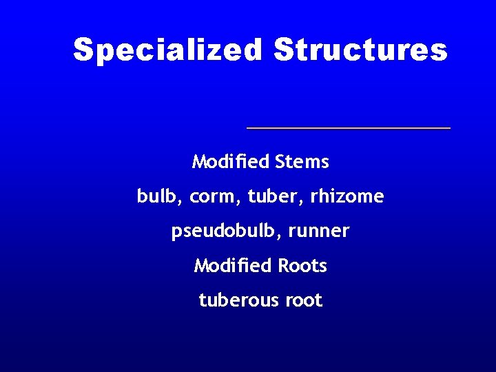 Specialized Structures Modified Stems bulb, corm, tuber, rhizome pseudobulb, runner Modified Roots tuberous root Specialized Structures Modified Stems bulb, corm, tuber, rhizome pseudobulb, runner Modified Roots tuberous root