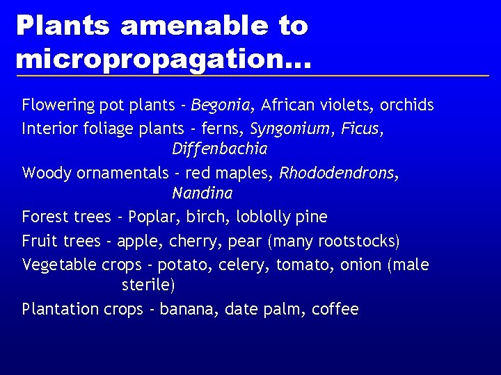 Plants amenable to micropropagation. . . Flowering pot plants - Begonia, African violets, orchids Plants amenable to micropropagation. . . Flowering pot plants - Begonia, African violets, orchids