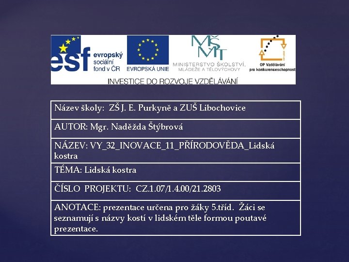 Název školy: ZŠ J. E. Purkyně a ZUŠ Libochovice AUTOR: Mgr. Naděžda Štýbrová NÁZEV: