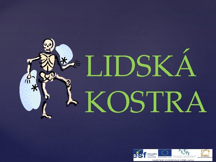 LIDSKÁ KOSTRA 