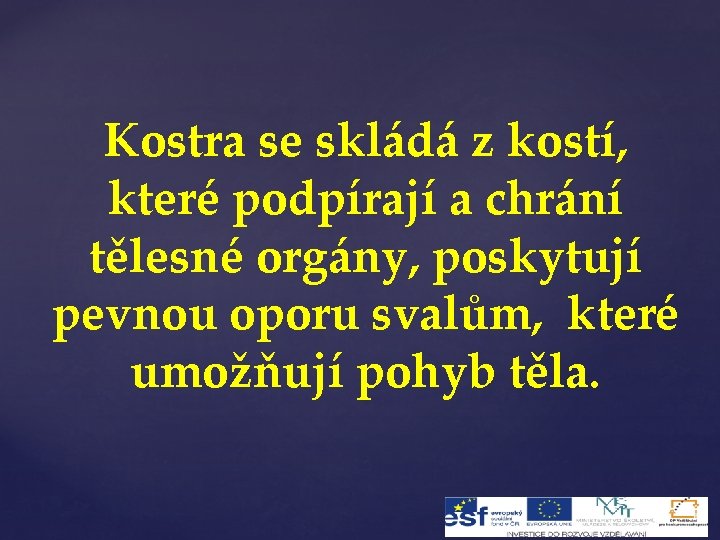Kostra se skládá z kostí, které podpírají a chrání tělesné orgány, poskytují pevnou oporu