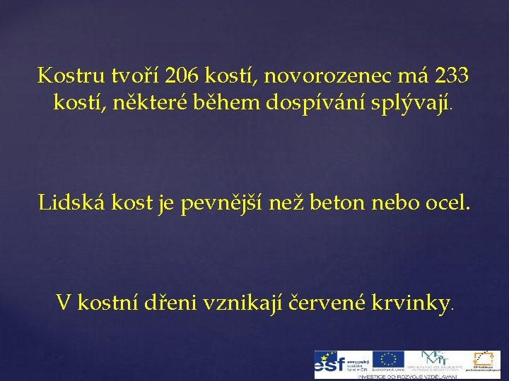 Kostru tvoří 206 kostí, novorozenec má 233 kostí, některé během dospívání splývají. Lidská kost