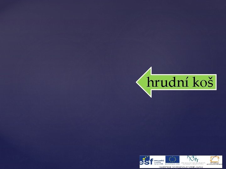 hrudní koš 