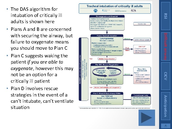 RSI Difficult airway CICV Anticipation • The DAS algorithm for intubation of critically ill