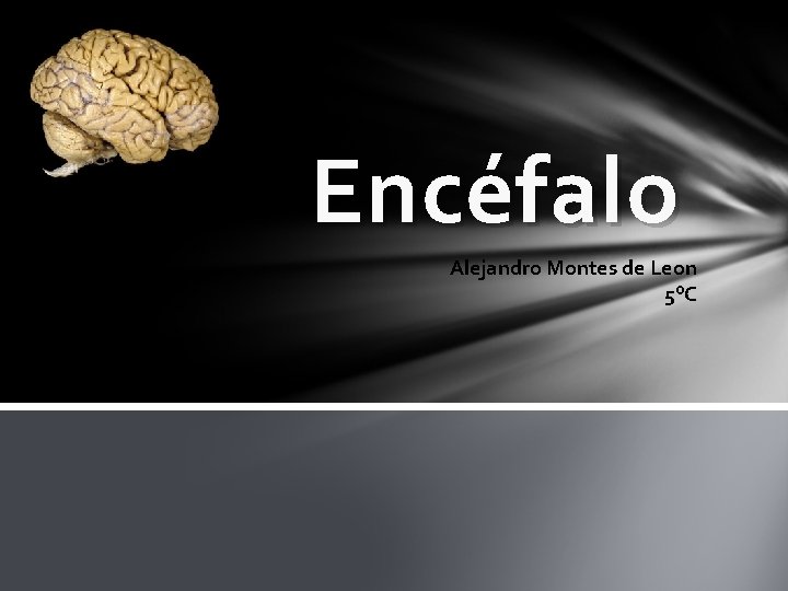Encéfalo Alejandro Montes de Leon 5°C Encéfalo Alejandro Montes de Leon 5°C