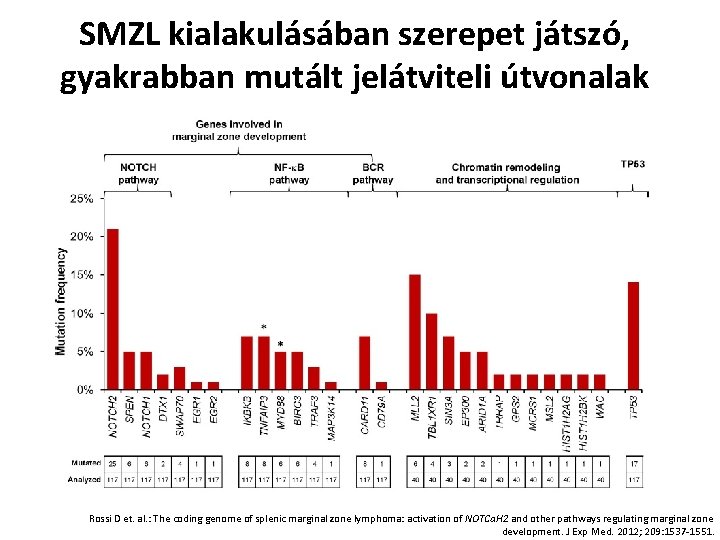 SMZL kialakulásában szerepet játszó, gyakrabban mutált jelátviteli útvonalak Rossi D et. al. : The