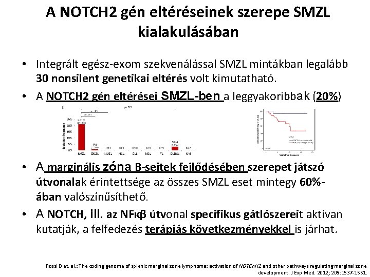 A NOTCH 2 gén eltéréseinek szerepe SMZL kialakulásában • Integrált egész-exom szekvenálással SMZL mintákban