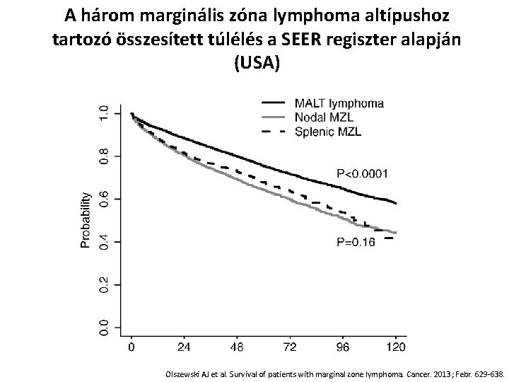 A három marginális zóna lymphoma altípushoz tartozó összesített túlélés a SEER regiszter alapján (USA)