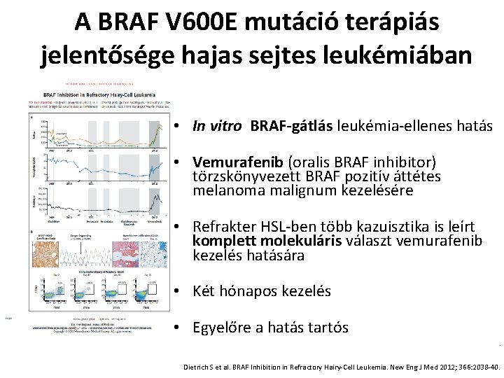 A BRAF V 600 E mutáció terápiás jelentősége hajas sejtes leukémiában • In vitro