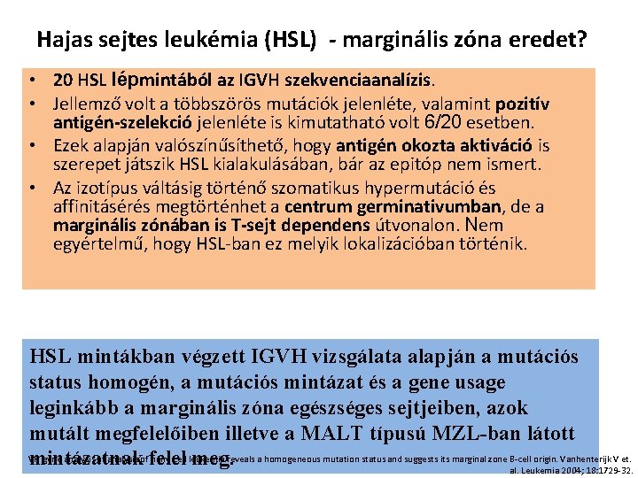 Hajas sejtes leukémia (HSL) - marginális zóna eredet? • 20 HSL lépmintából az IGVH
