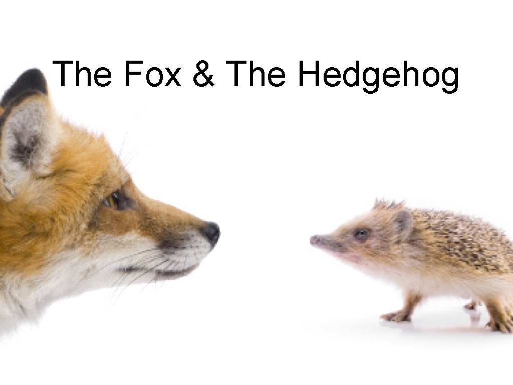 The Fox & The Hedgehog 