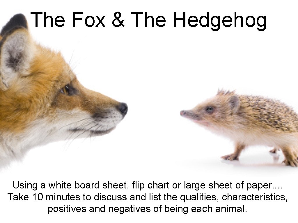 The Fox & The Hedgehog Using a white board sheet, flip chart or large