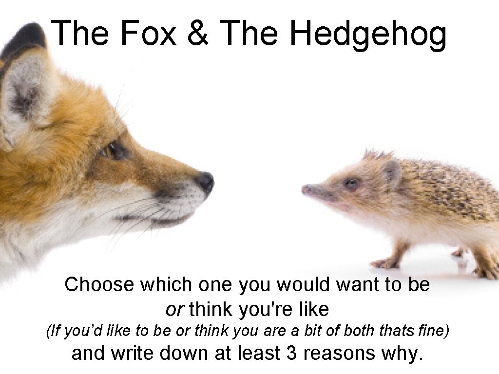 The Fox & The Hedgehog Choose which one you would want to be or