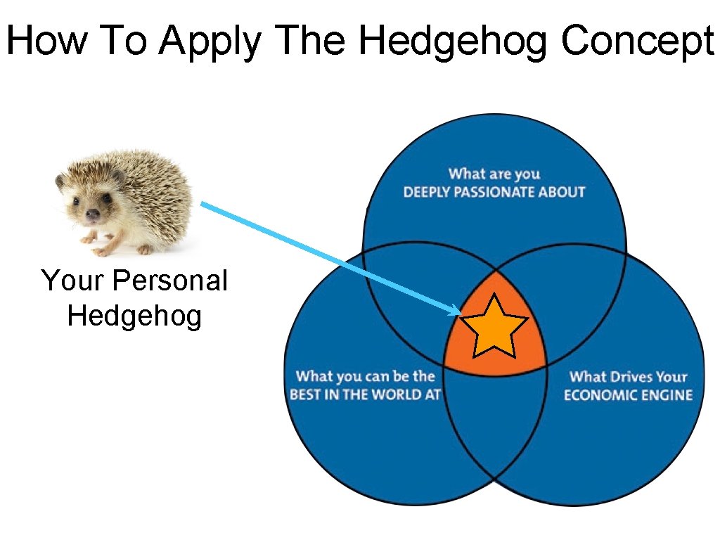 How To Apply The Hedgehog Concept Your Personal Hedgehog 